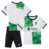 Fußball Trikot Liverpool Auswärts 2023-24 - Kinder
